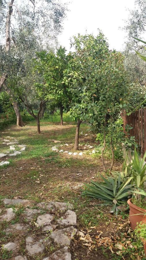 Villa Fralù Mattinata Extérieur photo